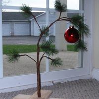 Nancy Lasher Photo 22