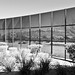 Douglas Bauer Photo 29