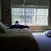 David Damato Photo 26