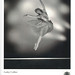 Anthony Collier Photo 28