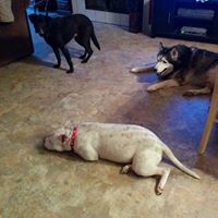 Debbie Hulsey Photo 14