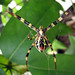 Andrew Cross Photo 39