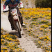 Francisco Lopez Photo 38