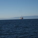Barbara Goos Photo 11
