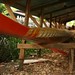 Long Vang Photo 40