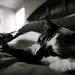 Sadie Garrison Photo 14