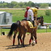 Larry Furlong Photo 12