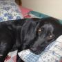 Cheryl Hilliard Photo 23