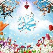 Mujtaba Mohammed Photo 4