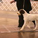 Donna Pointer Photo 15