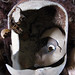 Randall Lockhart Photo 10