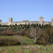 Tonda Walls Photo 8