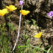 Joan Blackmon Photo 14