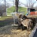 Nancy Eubanks Photo 28