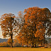 Roy Groves Photo 8
