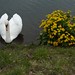 Clyde Bush Photo 10