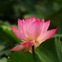 Amy Yue Photo 16