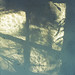 Laura Riddle Photo 13