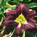 Kathryn Root Photo 19