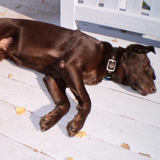 Jill Berger Photo 25