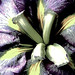 Maria Buckley Photo 29