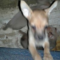 Annette Martin Photo 17