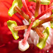 Ronald Flowers Photo 24