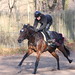 Robert Collet Photo 11