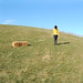 Courtney Hines Photo 5