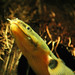 Erik Reed Photo 18