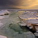Ray Wolfe Photo 2