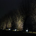 Mark Forsythe Photo 15