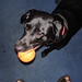 Alan Bunch Photo 22