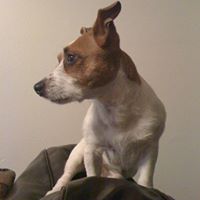 Oscar Russell Photo 23