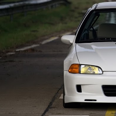 Ian Lowe Photo 14
