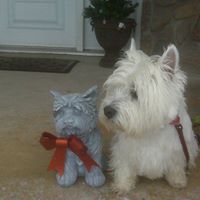 Debra Hinds Photo 9