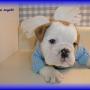 Debbie Lacy Photo 15