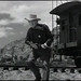 Carey Marshall Photo 12