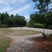 Nelson Yang Photo 12