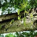 Loc Bui Photo 9