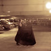 Thomas Allison Photo 38