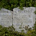 John Purser Photo 35