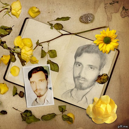 Syed Muhammad Photo 16
