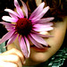 Max Flowers Photo 16