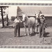 Lora Jones Photo 16