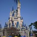 Minnie Torres Photo 12