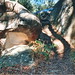 Glen Bush Photo 11
