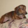 Cindy Hawthorne Photo 19