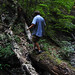 Warren Paulsen Photo 2