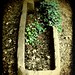 Herbert Fitts Photo 3